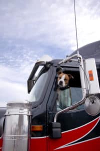 There are many benefits to having your pet with you while driving. Bay & Bay, a trucking and logistics company, encourages drivers to bring their dog or cat with OTR.