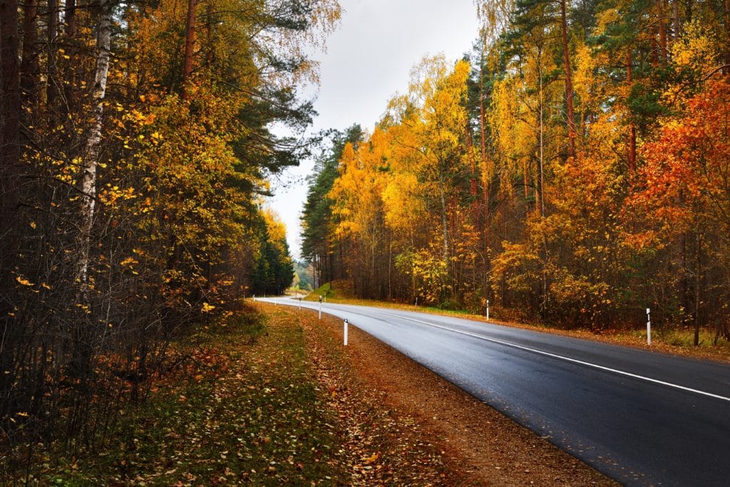 A photo of a slick road with red, yellow, and orange trees during autumn.